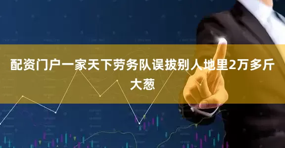 配资门户一家天下劳务队误拔别人地里2万多斤大葱