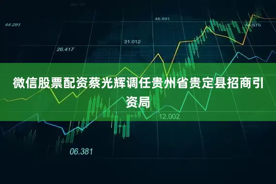 微信股票配资蔡光辉调任贵州省贵定县招商引资局