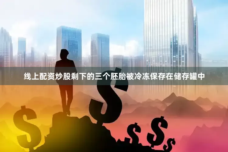 线上配资炒股剩下的三个胚胎被冷冻保存在储存罐中