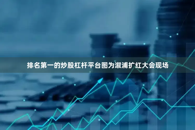 排名第一的炒股杠杆平台图为溆浦扩红大会现场
