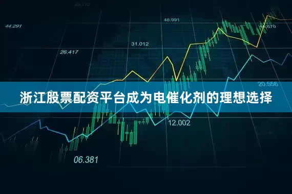 浙江股票配资平台成为电催化剂的理想选择