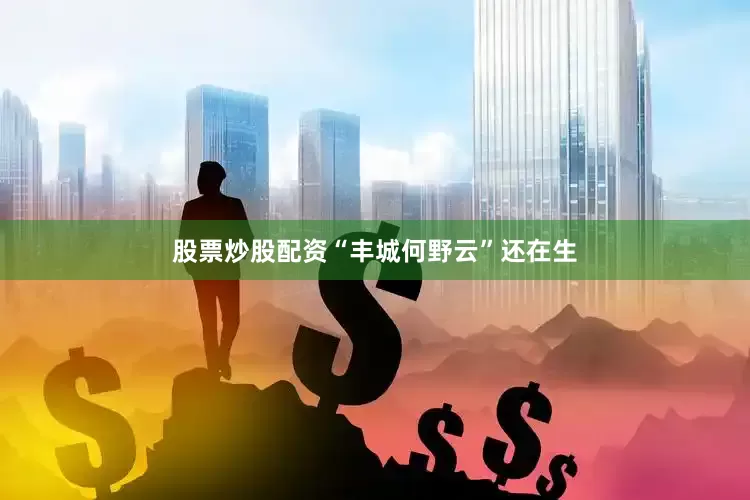 股票炒股配资“丰城何野云”还在生