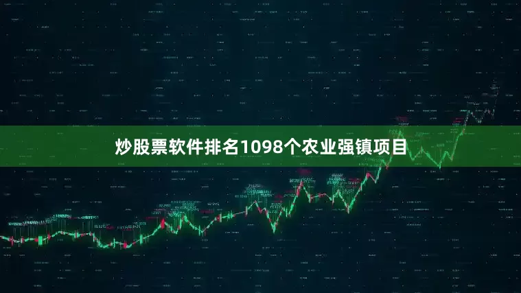 炒股票软件排名1098个农业强镇项目